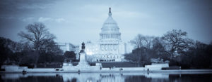 Sue Government
